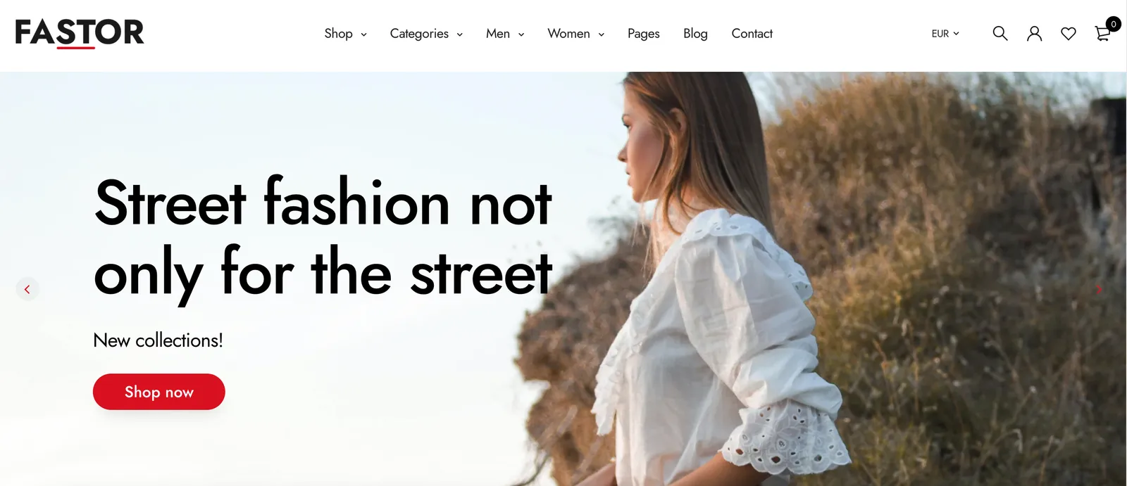Fastor Shopify theme landing page
