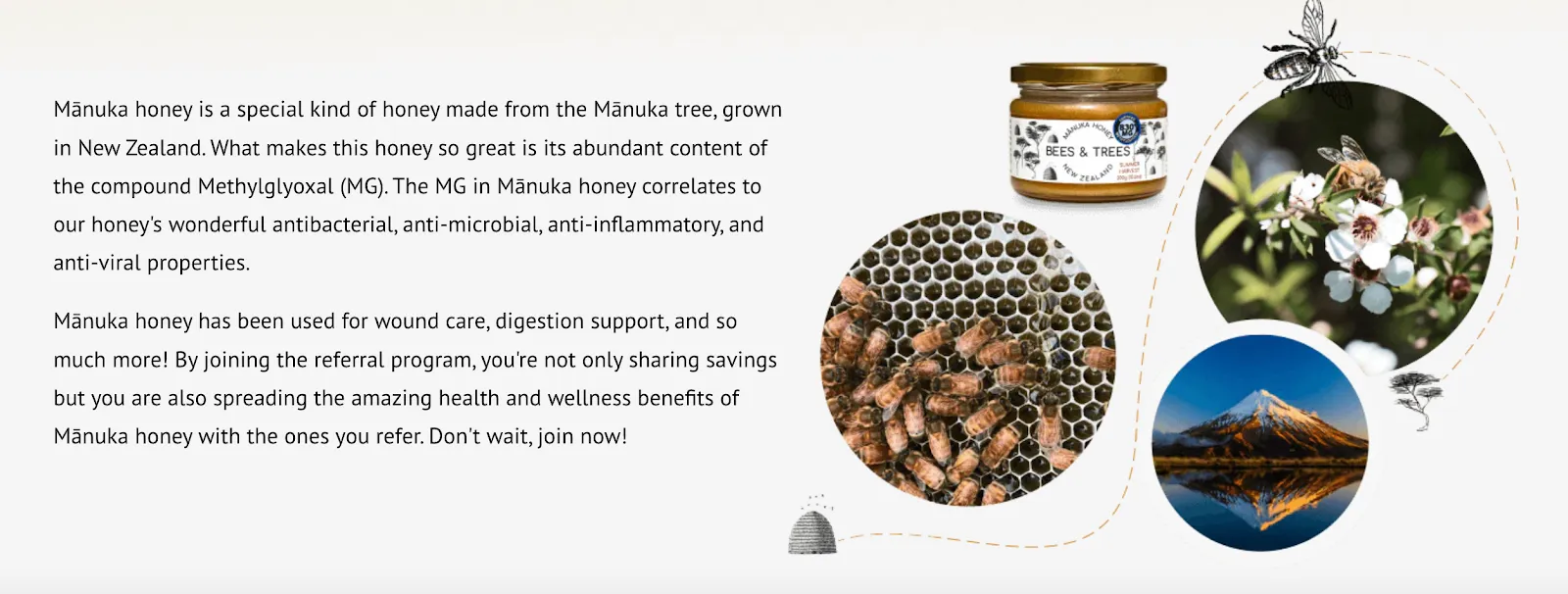 Bees & Trees brand mission explained