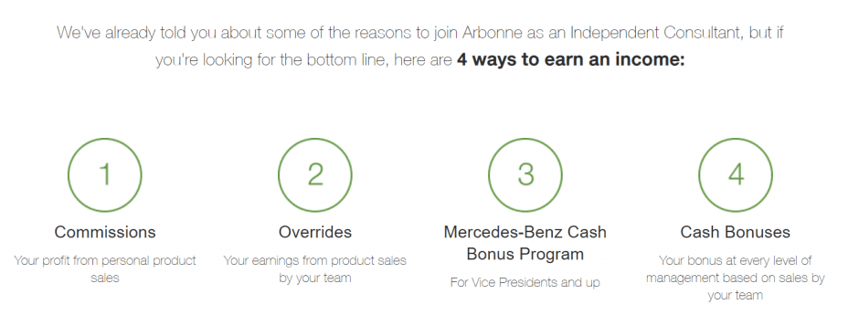 brand ambassador program