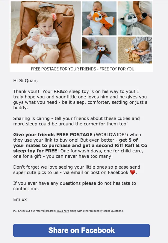 riff raff and co toys post purchase emails